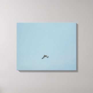 Black-legged kittiwake canvas print