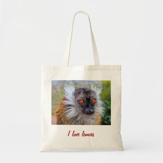 Black lemur bag (Front)