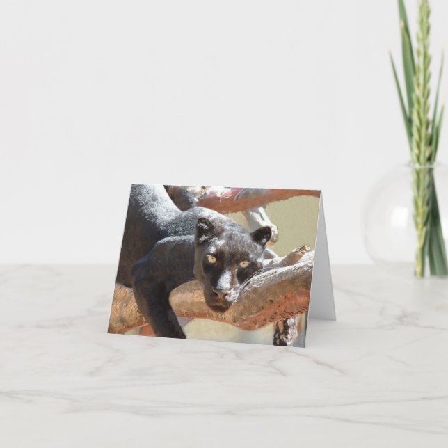 Black Leopard Card (Front)