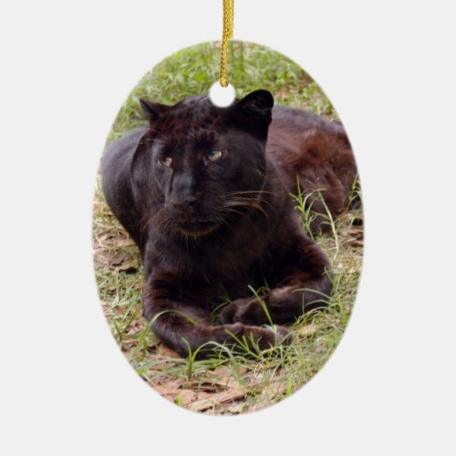 Black Leopard Christmas Ornament