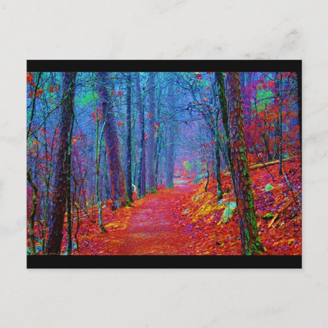 Black Light Forest Oil Painting Postcard (Front)