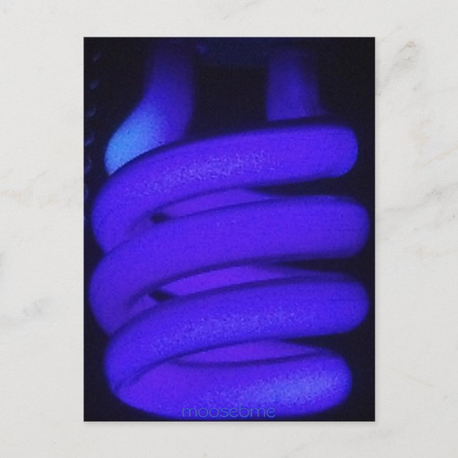 Black Light Post Card (Front)