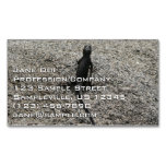 Black Lizard Business Card Magnet