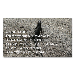 Black Lizard Business Card Magnet