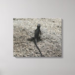 Black Lizard Canvas Print