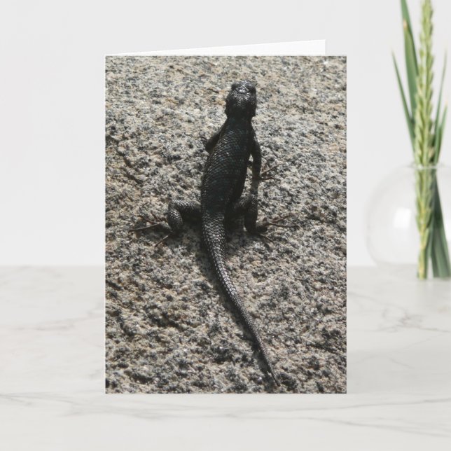 Black Lizard Card (Front)