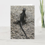 Black Lizard Card