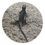 Black Lizard Classic Round Sticker