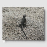 Black Lizard Guest Book