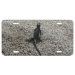 Black Lizard License Plate