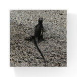 Black Lizard Paperweight