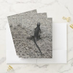 Black Lizard Pocket Folder
