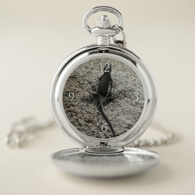 Black Lizard Pocket Watch (Inside)