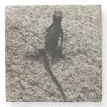 Black Lizard Stone Coaster