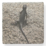 Black Lizard Stone Coaster