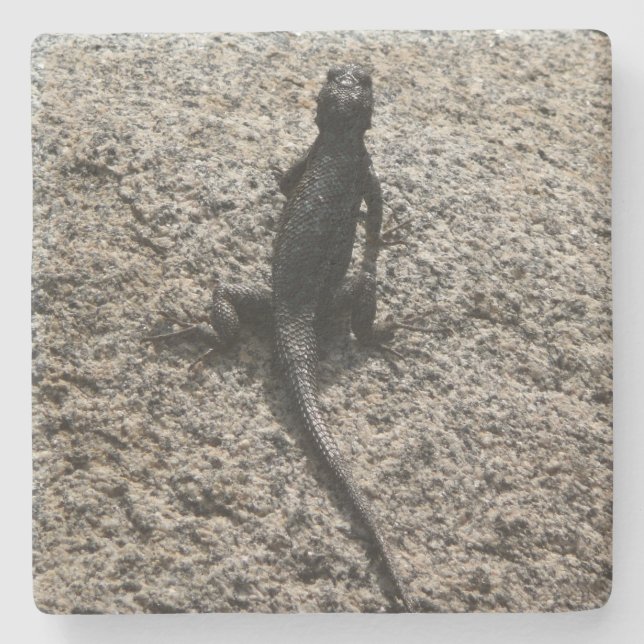 Black Lizard Stone Coaster (Front)