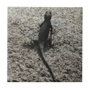 Black Lizard Tile