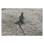 Black Lizard Tissue Paper