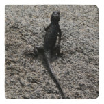 Black Lizard Trivet