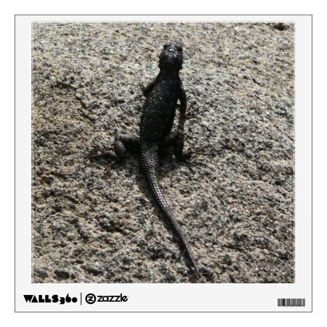 Black Lizard Wall Sticker (Front)