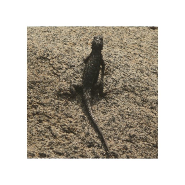 Black Lizard Wood Wall Art (Front)