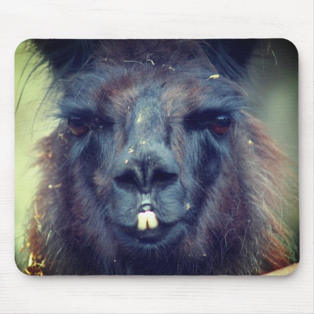 Black Llama Face Animal  Mouse Pad (Front)
