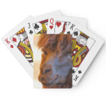 Black Llama Poker Cards