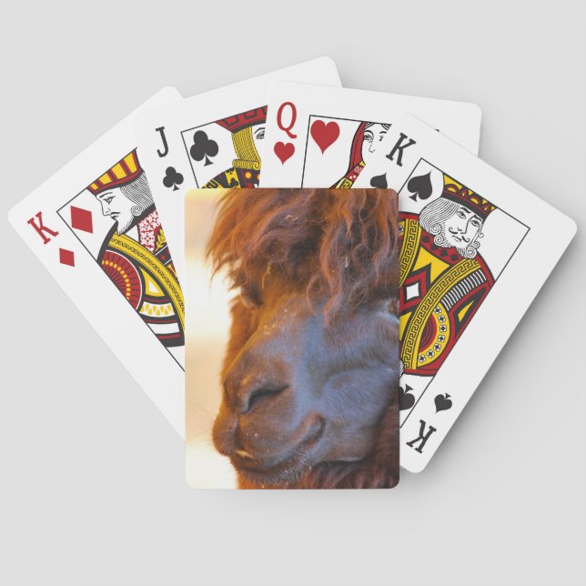 Black Llama Poker Cards (Back)
