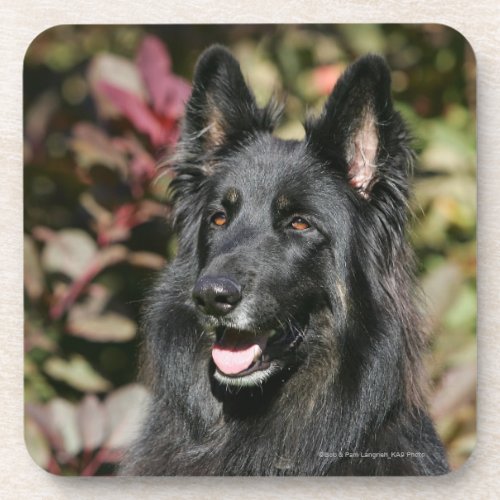 Black Long Haired German Shepherd Beverage Coaster