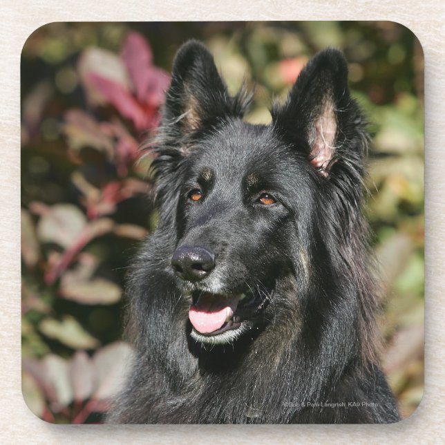 Black Long Haired German Shepherd Beverage Coaster (Front)