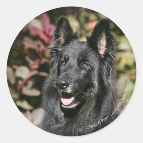 Black Long Haired German Shepherd Classic Round Sticker
