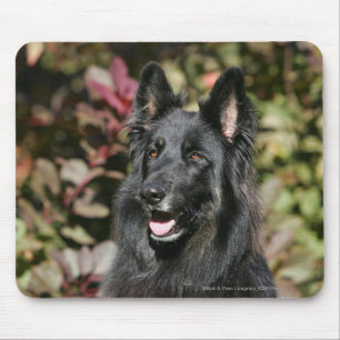 Black Long Haired German Shepherd Mouse Pad