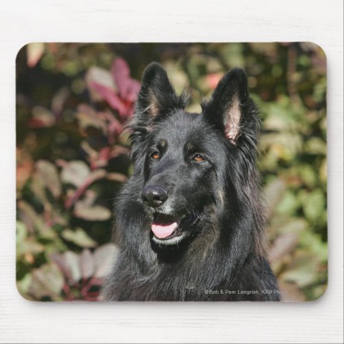 Black Long Haired German Shepherd Mouse Pad