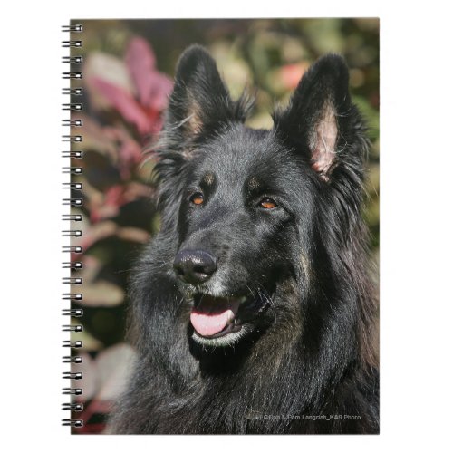Black Long Haired German Shepherd Notebook