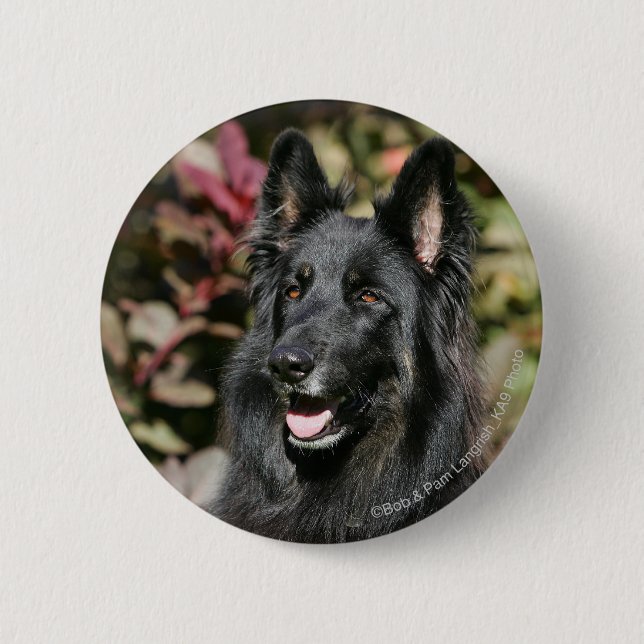 Black Long Haired German Shepherd Pinback Button (Front)