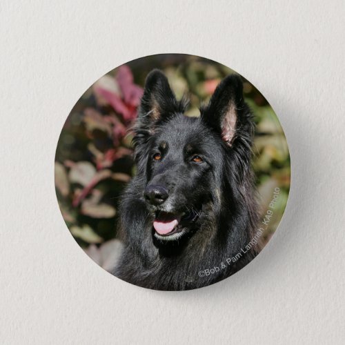 Black Long Haired German Shepherd Pinback Button