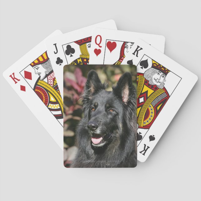 Black Long Haired German Shepherd Poker Cards (Back)
