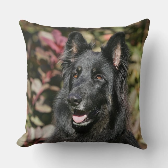 Black Long Haired German Shepherd Throw Pillow (Front)