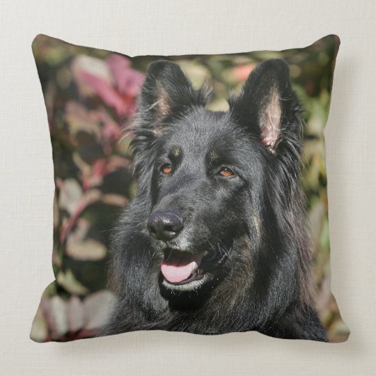 german shepherd throw pillow