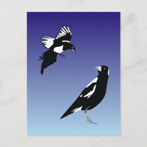 Black magpie birds on blue background postcard