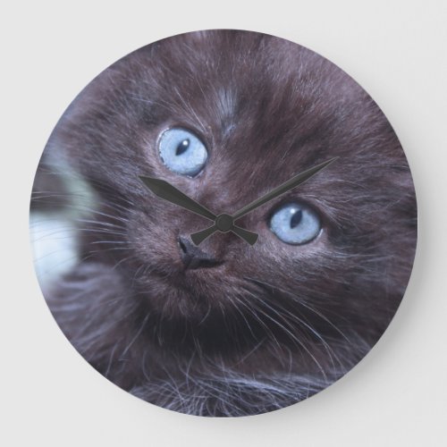 BLACK MAINE COON KITTEN CLOCK