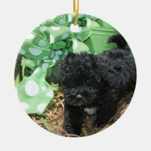 Black Maltipoo Puppy Ceramic Ornament