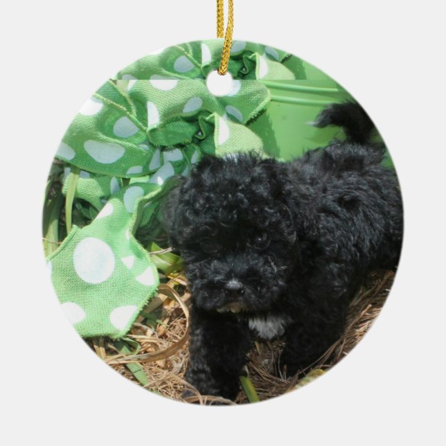 Black Maltipoo Puppy Ceramic Ornament (Front)