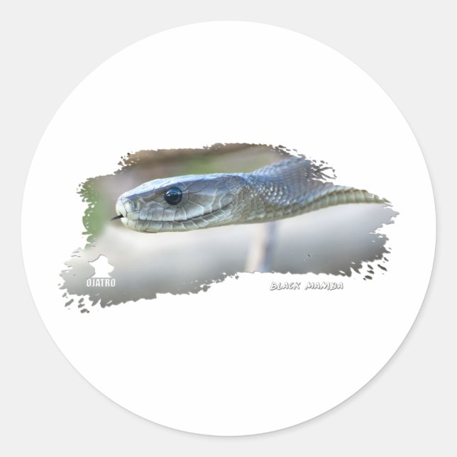 Black Mamba Classic Round Sticker (Front)