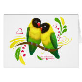 Black Masked Lovebirds (Front Horizontal)