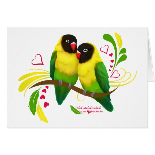 Black Masked Lovebirds (Front Horizontal)