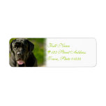 Black Mastiff Mailing Labels