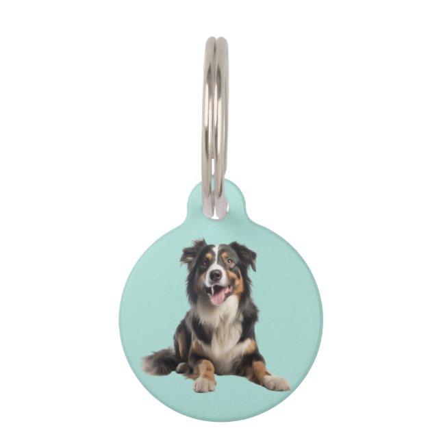 Black Merle Australian Shepherd | Pet ID Tag (Front)