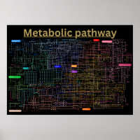 Black Metabolic pathway of the cell 