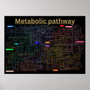 Black Metabolic pathway of the cell  Poster